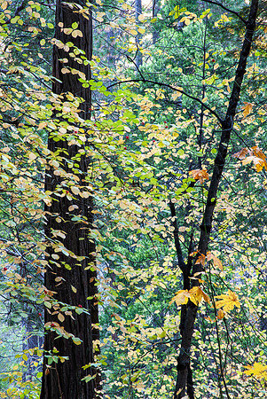 _DSC5000_dup