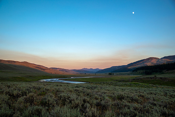 _DSC5736