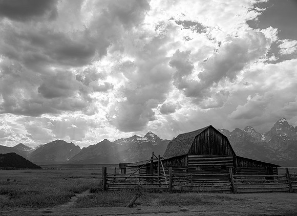 _DSC5774