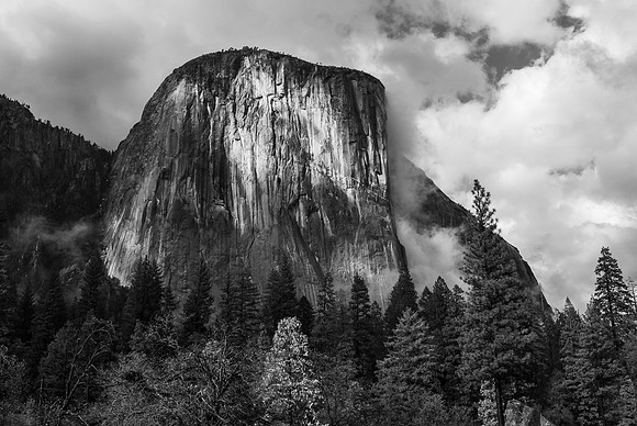 _DSC6879