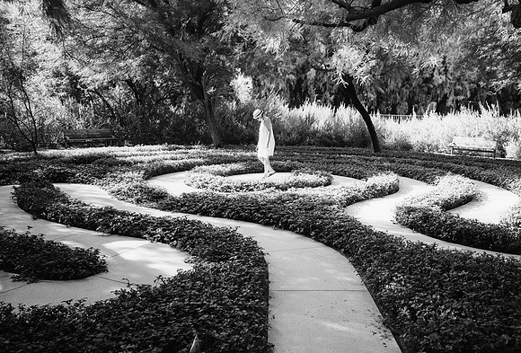 Maze